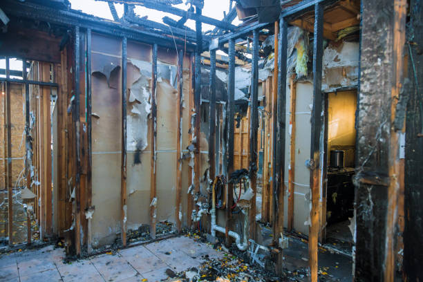 Professional Fire Damage Removal technician working in Medina, TX