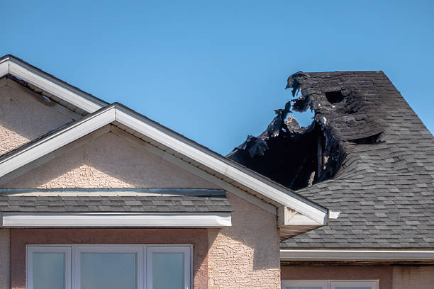 Top rated local Fire Damage Removal specialists in Medina, TX